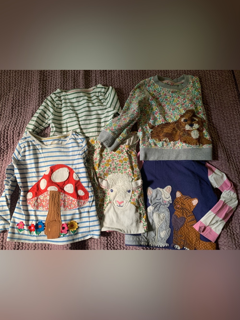 Mini Boden long sleeve top bundle 3/4t
$170 value